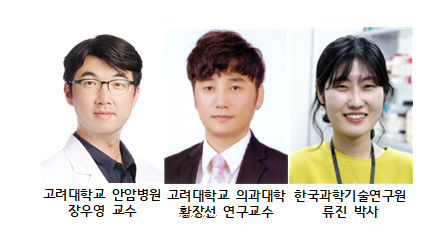 상처에서 젤로 변하는 분말형 상처 재생소재 개발