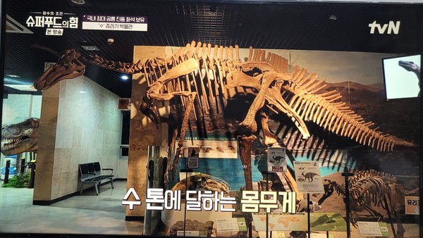 “관절염 걸린 공룡 - 1억 5천만 년의 통증 치료법은?
