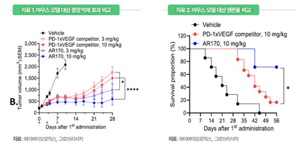 와이바이오로직스, AACR 2026서 자체 파이프라인 첫 성과 공개