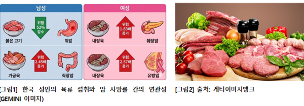 같은 양을 먹어도 다르다...“고기 종류가 특정 암 사망 위험과 관련”
