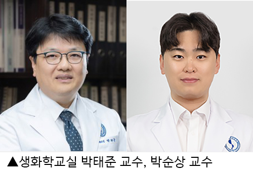 인체노화와 세포노화의 연결고리 제시
