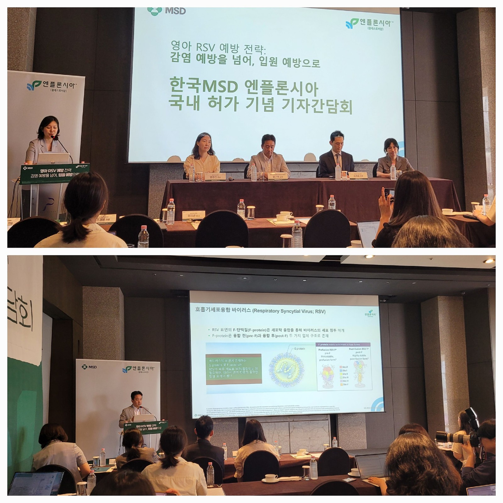 한국MSD, 영아 RSV 예방 항체 엔플론시아™ 프리필드시린지 허가 기념 간담회